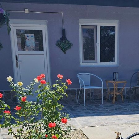 The Purple House-Villa In 부쿠레슈티 외부 사진